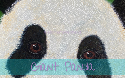 Giant Panda painting