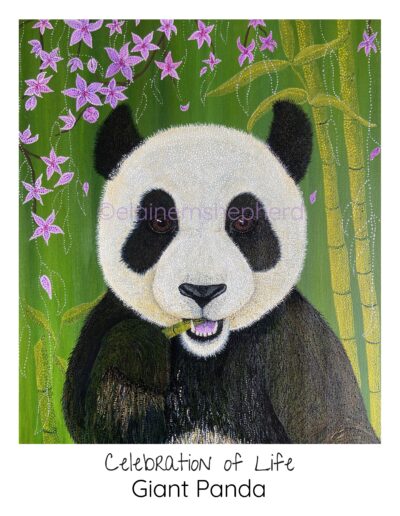 Giant panda painting, sat amongst the bamboo and blossom.