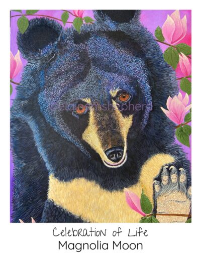 Moon bear healing beneath the magnolia tree.